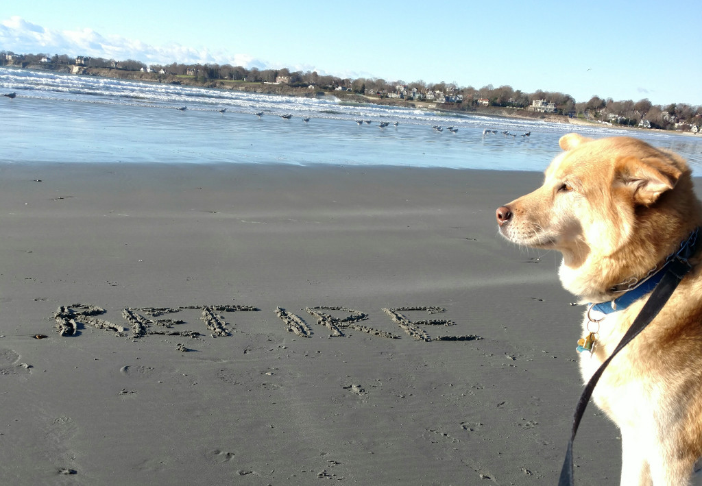 Can My Wife Retire? (2025 Edition)