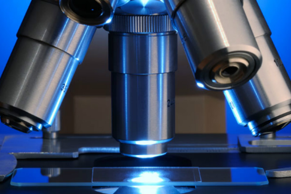 Children embrace the future with humanoid school project